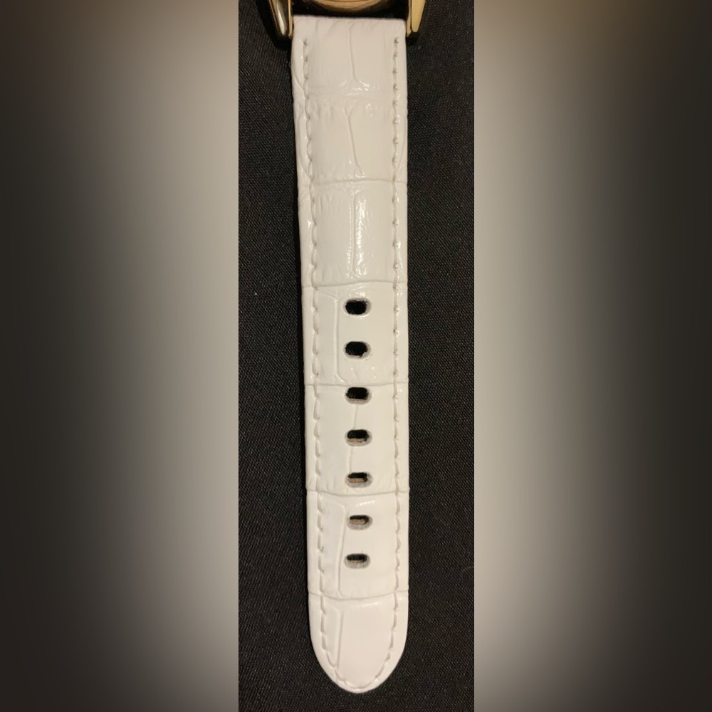 Akribos XXIV Watch - Picture 6 of 13
